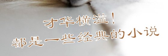 才华横溢！都是一些经典的小说